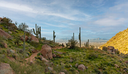 Springtime View From Pinnacle Peak Trail In Scottsdale, Arizona With Hikers