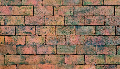 green moss on brick floor, old Wall brick with moss, weather brick ground with green moss. wet floor background. beautiful horizontal texture of part of an old orange crushed brick wall.