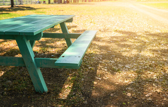 Close up part of green wooden picnic bench under big tree in park. Free copy space for text.