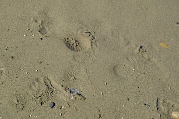 sand on the beach close-up, footprints across the horizon. Seaside background. Copy space. Top view. Summer nature background