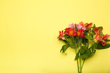 flowers on a yellow background. Space for text