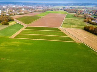 Obraz premium Aerial view of a pastures and arable land. Panorama over healthy green crops in patchwork pasture farmland
