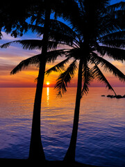 Naklejka na ściany i meble Nice sunset. Dark palm trees silhouettes on colorful tropical ocean sunset background