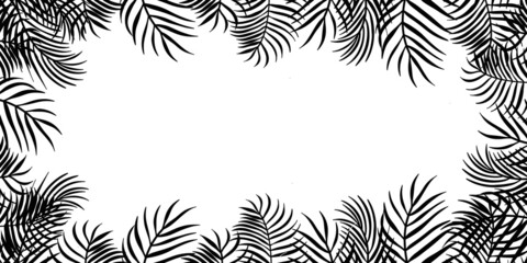black and white background with palm leaf