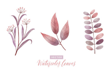 Set of digital watercolor painting branches with pink leaves 1.