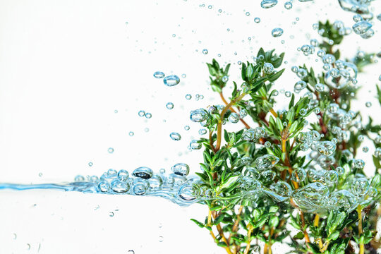 Thyme bunch in water with bubbles.