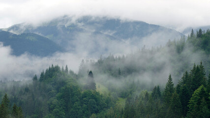Foggy mountains. The wooded slopes are covered with fog, the sky is in clouds.