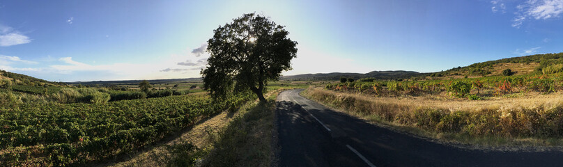 Wine country