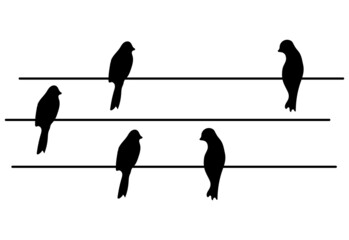 Black silhouette of birds sitting on a wire. Abstract pattern, tattoo. Swallows on a white background. Vector