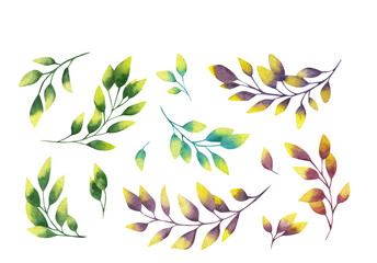 Bright leaves, watercolor set isolated on white background