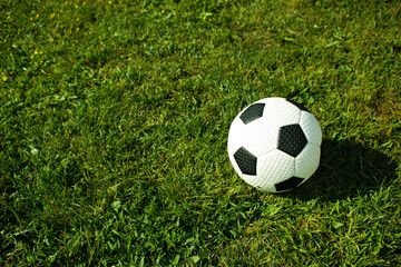 Fototapeta premium Soccer ball on green grass. Sport concept. Place for the text. 
