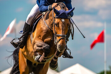 Horse Jumping, Equestrian Sports, Show Jumping event themed photograph