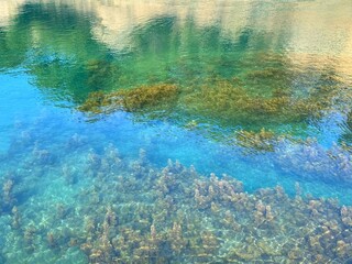 Transparent clear sea. Beautiful turquoise blue watercolor. Dense algae on seabed.