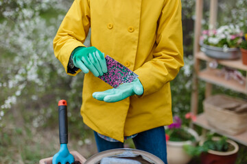 Hands of a gardener in gloves hold a bag of seeds of flowers. Planting Outdoor Flowers Concept.