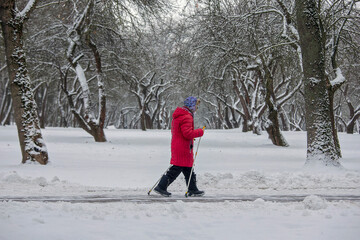 person walking in the snow