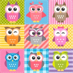 Fotobehang Patchwork background with colorful owls © ann_precious