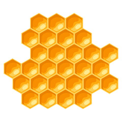 Illustration of honeycombs. Image for food and agricultural industry.