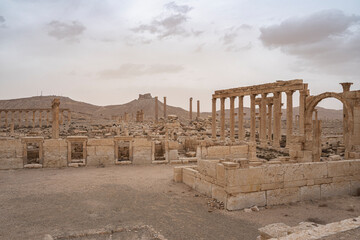 Roman ruins in the desert oasis of Palmyra, Syria