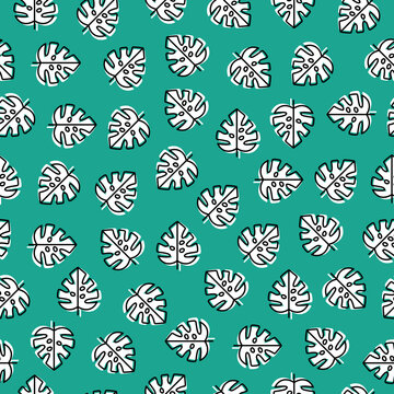 Teal seamless pattern with outline monstera leaves,.