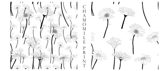 Hand drawn wild flowers pattern. Chamomile or daisy flower print. Botanical illustration. Good for cosmetics, medicine, treating, aromatherapy, nursing, package design, field bouquet.