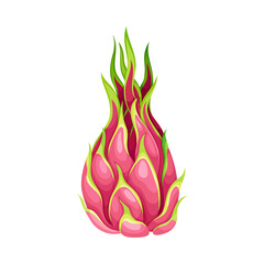 Whole Pitaya or Pitahaya Fruit of Cactus Species with White Flesh and Black, Crunchy Seed Vector Illustration