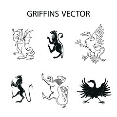 A griffin is also known as a griffin or griffon with a lion body, Hand drawn illustration in the engraving style