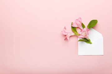 beautiful pink flowers on a pink background. top view , space for text