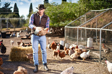 man holding chicken in his hands at hen farm
