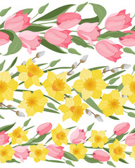 Plakat A set of vector seamless borders made of daffodils and tulips. Spring. Easter