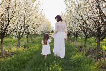 Back view of young mother and little daughter in white dresses holding hands and walking among...