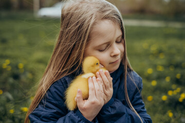 The child holds a duck in his hands. Girl and bird. Selective focus.