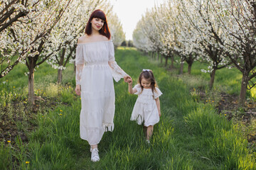 Happy young mother holding hands with her cute little daughter and smiling on camera among blooming apple trees. Caucasian family of two walking outdoors during spring time.