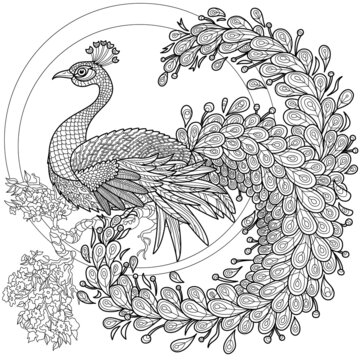 stylization as a peacock, against the background of a fluffy tail
