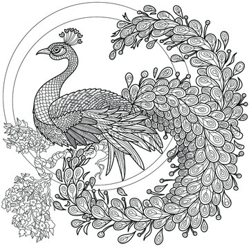 stylization as a peacock, against the background of a fluffy tail
