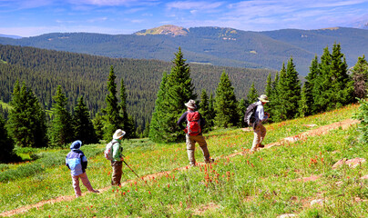 Hikers and wildflowers on Colorado's Shrine Ridge Trail near Vail Pass. - obrazy, fototapety, plakaty