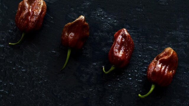 Hot brown habanero chili in row on black slate. Wet spicy vegetable. Top view table rotating.