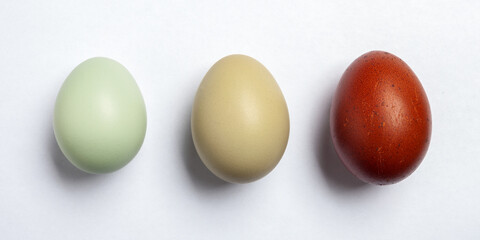 drei natürlich farbige Eier vor weißem Untergrund