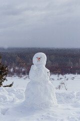 snowman on the snow