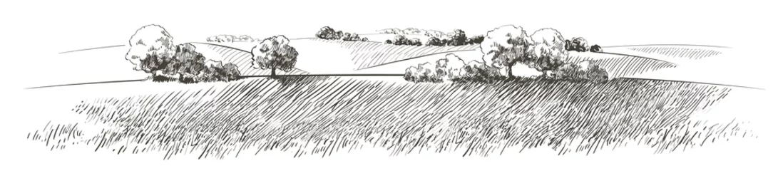 Fototapeten Vector sketch Green grass field on small hills. Meadow, alkali, lye, grassland, pommel, lea, pasturage, farm. Rural scenery landscape panorama of countryside pastures. illustration © mozart3737