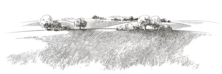 Gordijnen Vector schets Groen grasveld op kleine heuvels. Weide, alkali, loog, grasland, pommel, lea, weiland, boerderij. Landelijk landschap landschap panorama van platteland weiden. illustratie © mozart3737