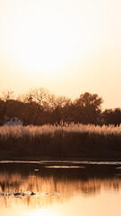 Lake sunset