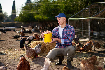 man holding natural chicken eggs in his hands at the hen farm