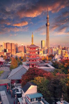 Tokyo, Japan. Cityscape image of Tokyo, Japan with Asakusa Temple at autumn sunset.