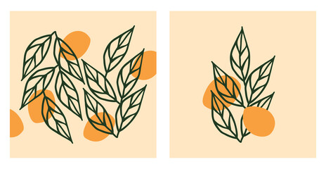 Fototapeta na wymiar poster with concept plant. aesthetic outline of an orange tree twig. set of illustrations for home decor, postcards and print. concept orange illustration