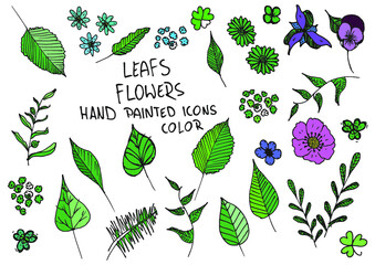Leaf flowers hand painted doodles, icons. Twig, petal, clover. Color. - obrazy, fototapety, plakaty