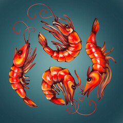 illustration of red shrimp on a blue background