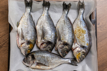 Fresh dorado fish on a baking sheet, ready for baking in the oven