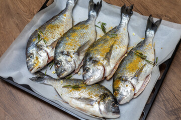 Fresh dorado fish on a baking sheet, ready for baking in the oven