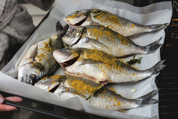 Fresh dorado fish on a baking sheet, ready for baking in the oven