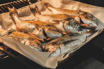 Fresh dorado fish on a baking sheet, ready for baking in the oven